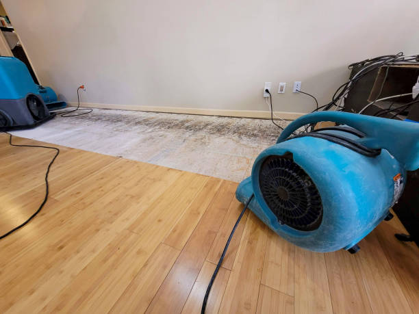 Professional Structural Drying technician working in Colton, OH